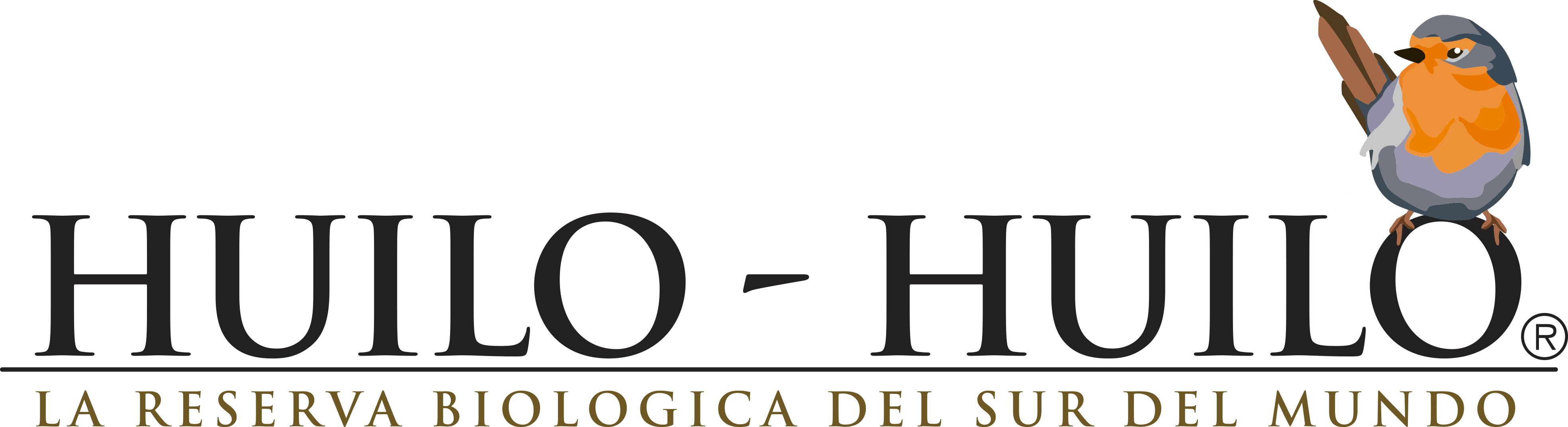 Logo Huilo Huilo